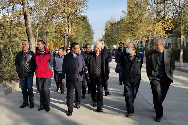 QQ图片20201027151923.jpg