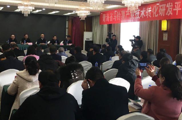 青海马铃薯产业科技创新平台召开全省马铃薯技术培训会.jpg