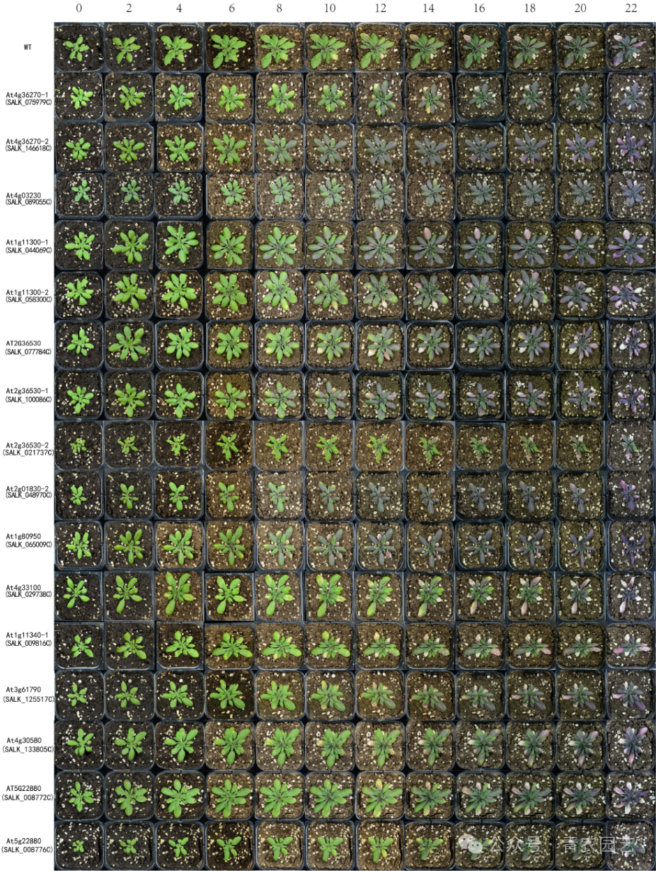 4022b99403164ef29d3e7be10916a2c7.png 4022b99403164ef29d3e7be10916a2c7.png